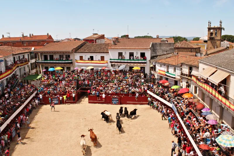 Moraleja se prepara para las Fiestas de San Buenaventura con sorteos y apertura de inscripciones