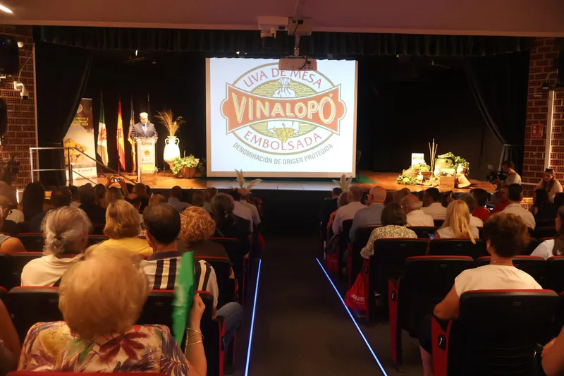 El alcalde de Novelda elogia el "mimo" de los agricultores del Vinalopó a la uva de mesa embolsada