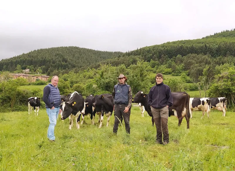 Hermanos Capellán: la ganadería de Zorraquín que elabora los únicos quesos de vaca de La Rioja