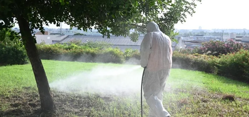 Tomares inicia campaña de prevención contra el mosquito del Virus del Nilo en parques