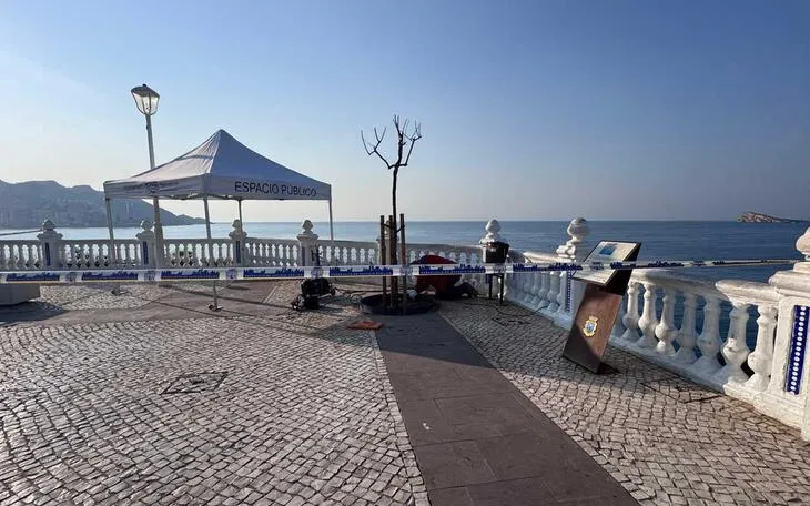Benidorm: Más de 500 intervenciones municipales en la vía pública en lo que va de año