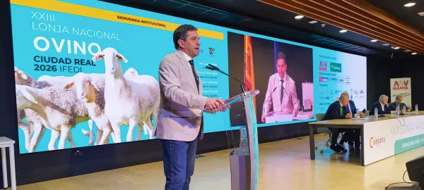 La Diputación de Ciudad Real destaca el papel estratégico del ovino para fijar población y economía rural