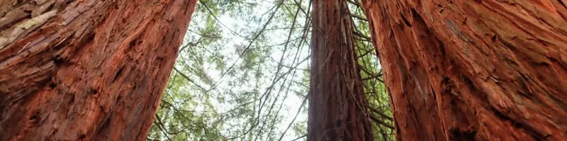 Acceso a licitaciones públicas del Ayuntamiento de Cabezón de la Sal en el Perfil del Contratante del Estado