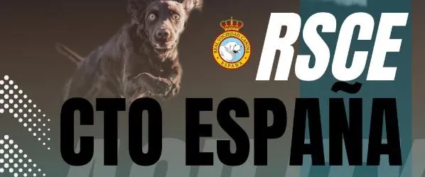 Gotor acogerá el Campeonato de España de Agility en junio de 2025