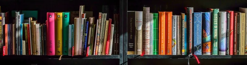 La Biblioteca del Gobierno Vasco integra los fondos de Educación