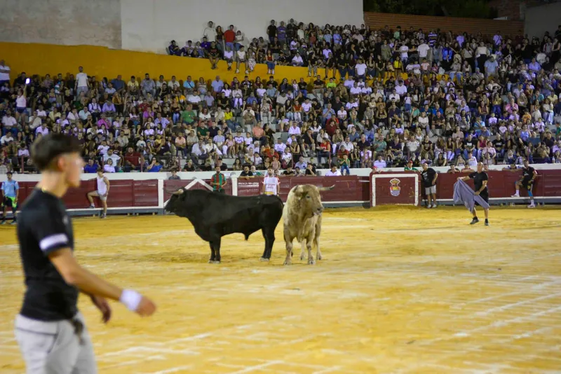 Bargas celebra con éxito la 'Cagada del Manso' y el 'Encierro de la Resaca'