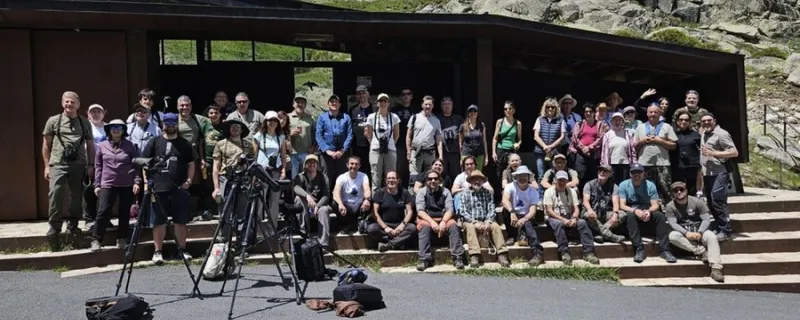 El curso de ornitología de Ávila identifica 101 especies de aves