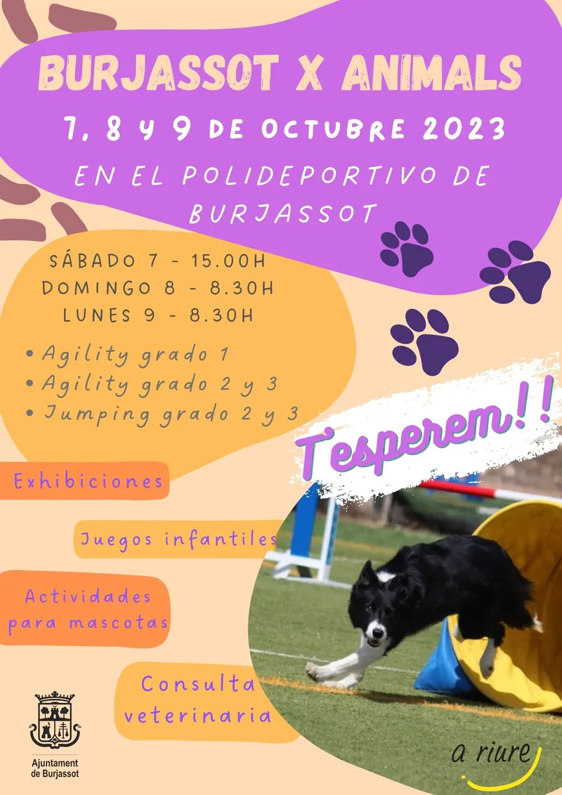Burjassot celebra la II edición de "Burjassot x animals" para fomentar la protección animal