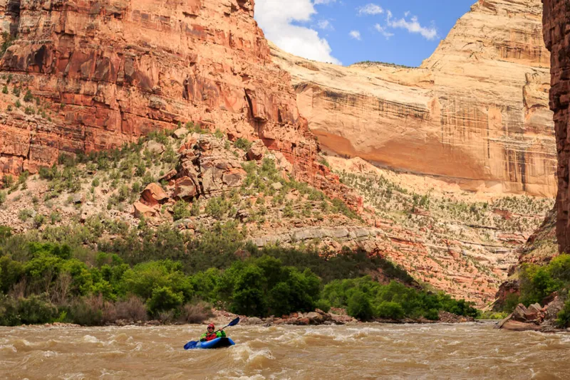 Aventura en el Yampa River: Rafting y Naturaleza en Dinosaur National Monument