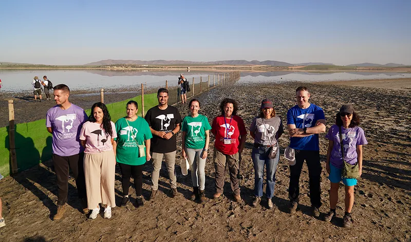 La Laguna de Fuente de Piedra anilla 600 pollos de flamenco en su 40 aniversario