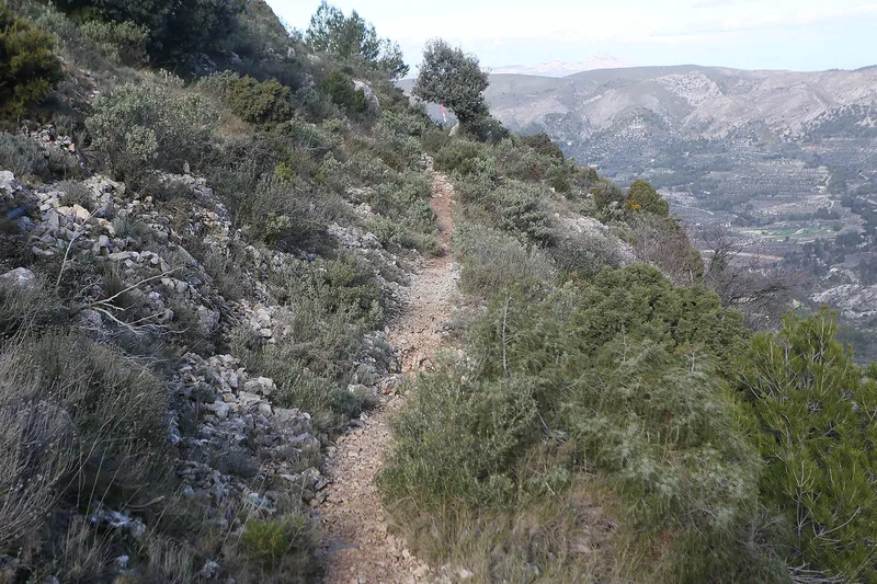 Diputación de Alicante destina 410.000 euros a la mejora de senderos y parajes naturales