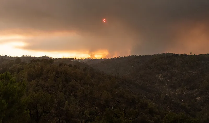 Primeros realojos autorizados en Niebla tras el incendio: 60 vecinos regresan a sus hogares