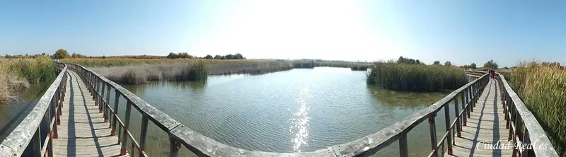 Las Tablas de Daimiel: Un tesoro natural único en Europa