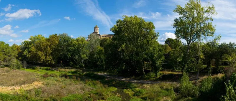 La Diputación de Tarragona impulsa la conservación de la Albereda de Santes Creus
