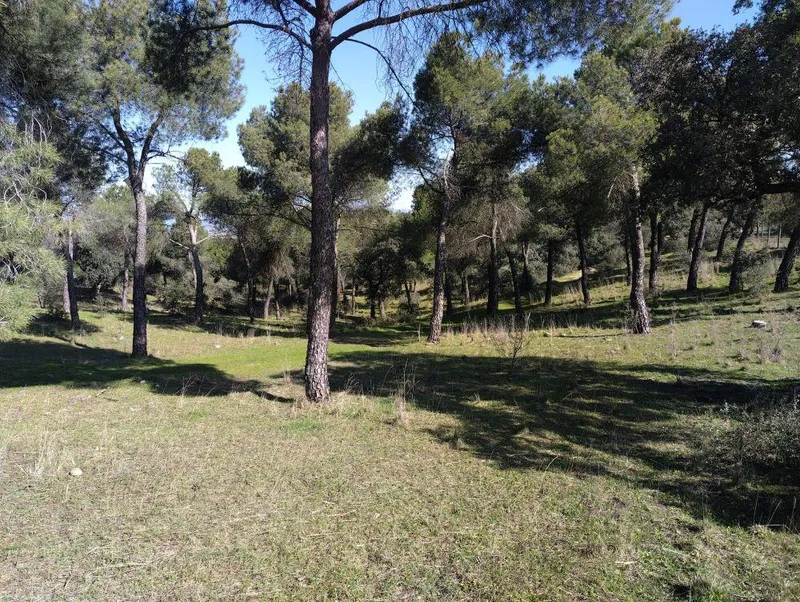 La Dehesa de Majadahonda será un punto clave en la Red de Observatorios de Fauna de la Comunidad de Madrid