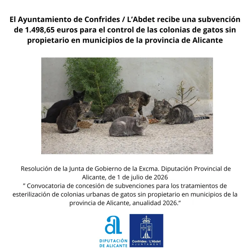 Subvención de casi 1.500 € para el control de colonias felinas en la provincia de Alicante