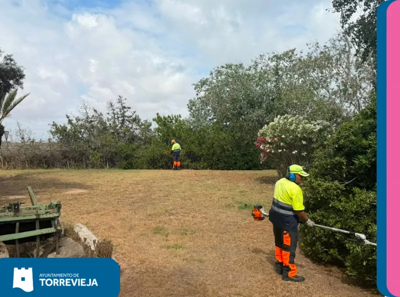 Torrevieja renueva la Plaza de la Agricultura en La Mata con mejoras en riego y vegetación