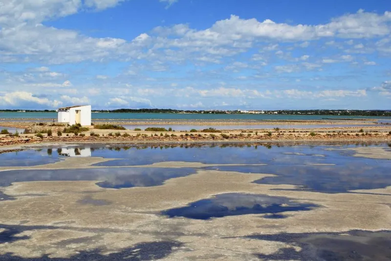 Formentera: un paraíso de biodiversidad marina y terrestre
