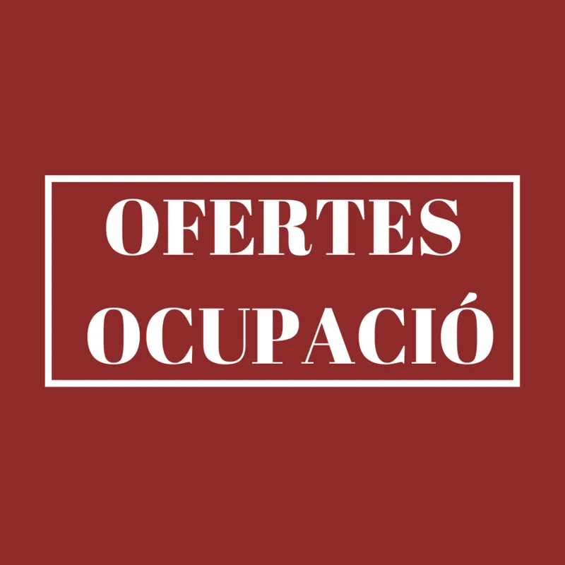 Oportunidades de empleo y formación en la Comunidad Valenciana
