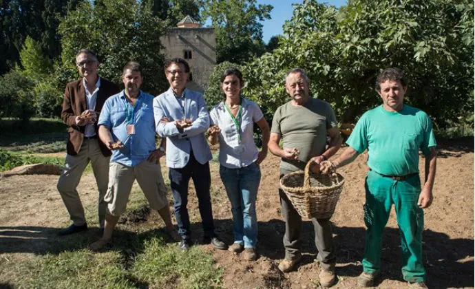 La Alhambra recupera el cultivo del azafrán de La Mancha