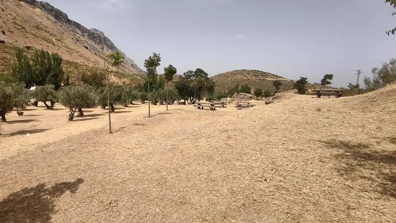 Antequera finaliza el Plan Municipal de Desbroce para prevenir incendios