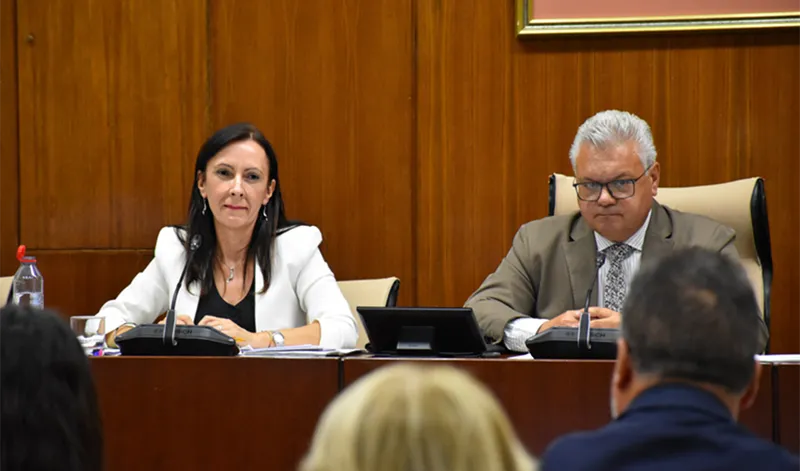 Andalucía pide al Gobierno central financiación para restaurar el incendio de Niebla