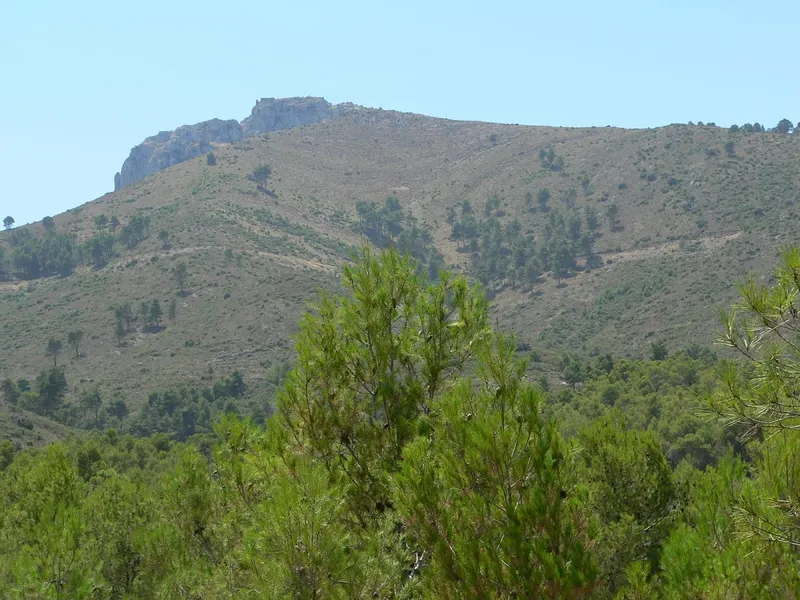 La Diputación de Alicante destina más de un millón de euros a la mejora y resiliencia de montes municipales