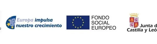 Villaralbo lanza un programa mixto de formación y empleo con ayudas del ECYL