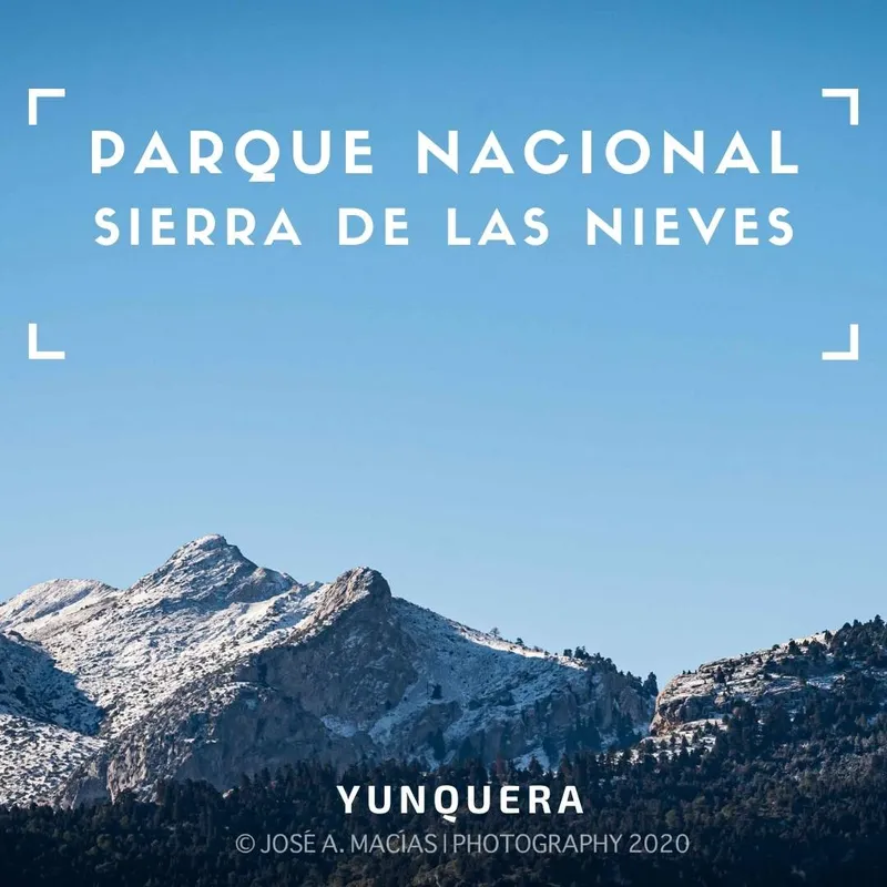 La Sierra de las Nieves se convierte en Parque Nacional, el decimosexto de España