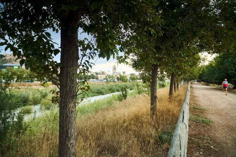 Orihuela recibe 3,3 millones de euros por la restauración del río Segura