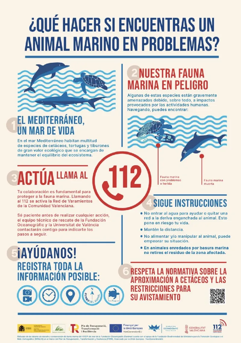 Lorca y Fundación Oceanogràfic unen fuerzas para proteger la fauna marina este verano