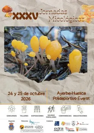 Ayerbe celebra sus XXXV Jornadas Micológicas los días 24 y 25 de octubre