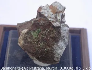 Recas digitaliza su colección de minerales y fósiles para acceso online
