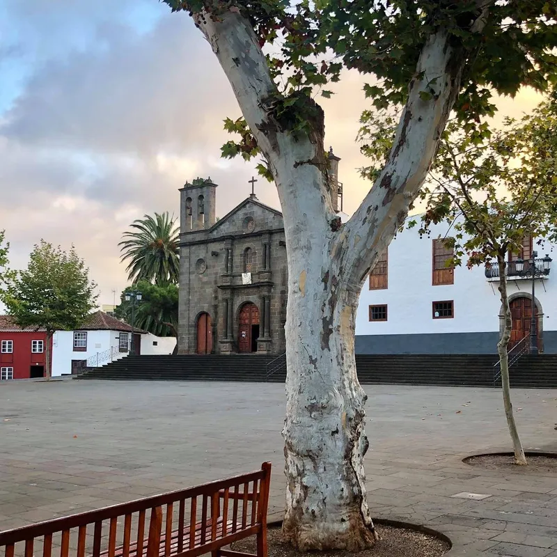 El Ayuntamiento de Tacoronte impulsa el turismo local para el crecimiento económico