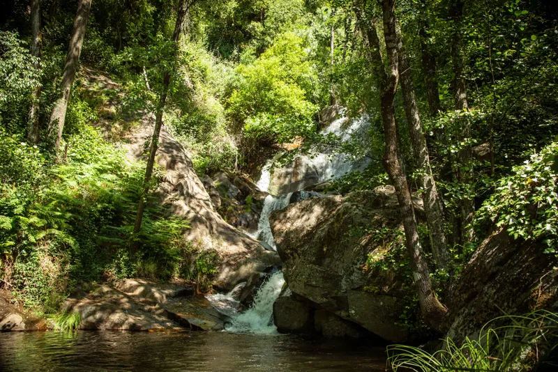 Descubre el senderismo en el Valle del Jerte: rutas para toda la familia