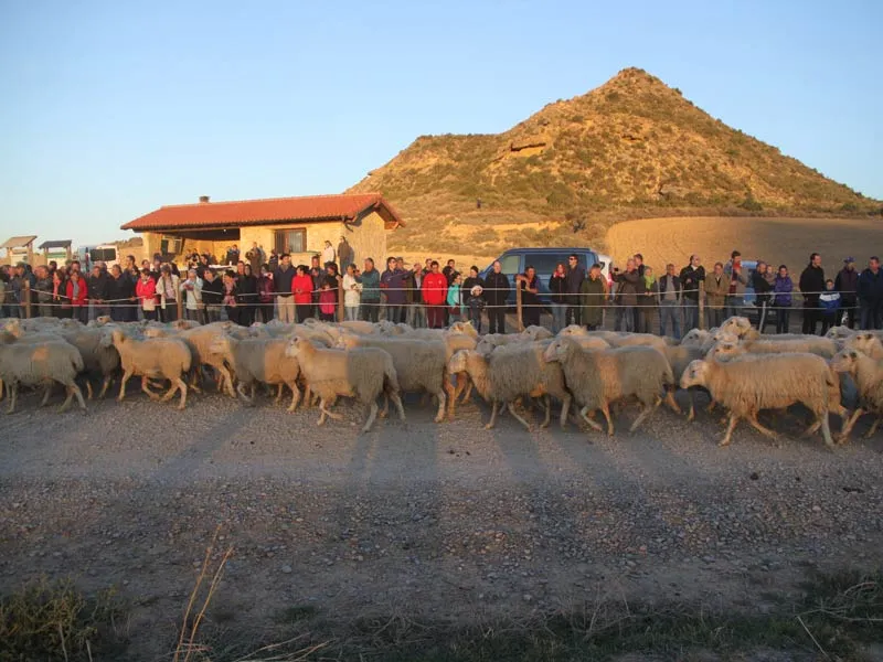 Carcastillo conmemora la Trashumancia con una placa en las Bardenas