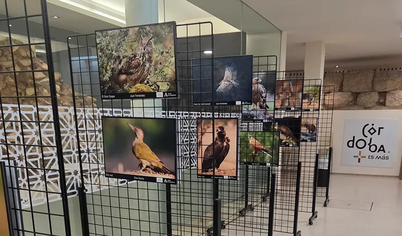 Exposición fotográfica 'Sierra Morena Observada' muestra la riqueza natural de Córdoba