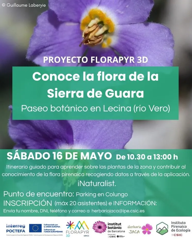 Colungo organiza un paseo botánico para descubrir la flora de la Sierra de Guara