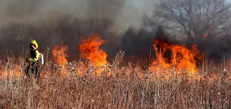 Tafalla activa la alerta máxima por riesgo de incendios forestales ante la ola de calor
