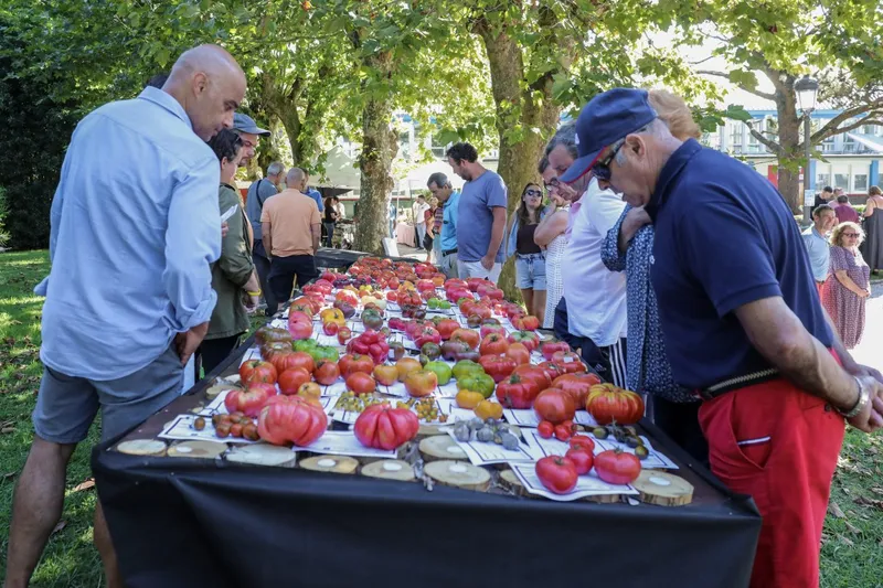 Polanco impulsa la conservación de tomates autóctonos con una nueva categoría en su feria