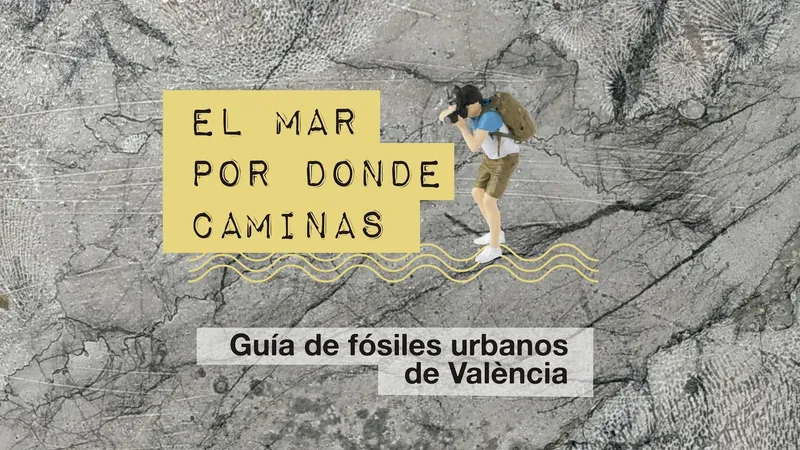 El Paleontològic de València lanza una guía para descubrir fósiles en la arquitectura urbana