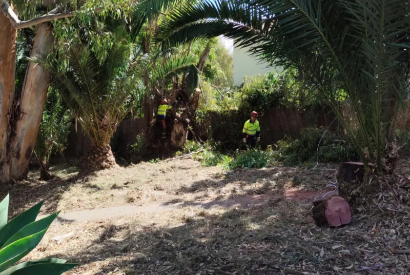 Benalmádena finaliza la limpieza de cauces para prevenir incendios forestales