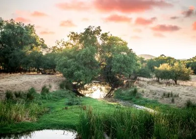 Luciana: un entorno natural privilegiado entre ríos y vegetación