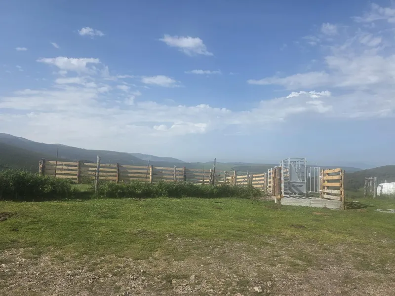 Finalizadas las obras de dos nuevas mangas ganaderas en Iboyo y El Palo, Allande
