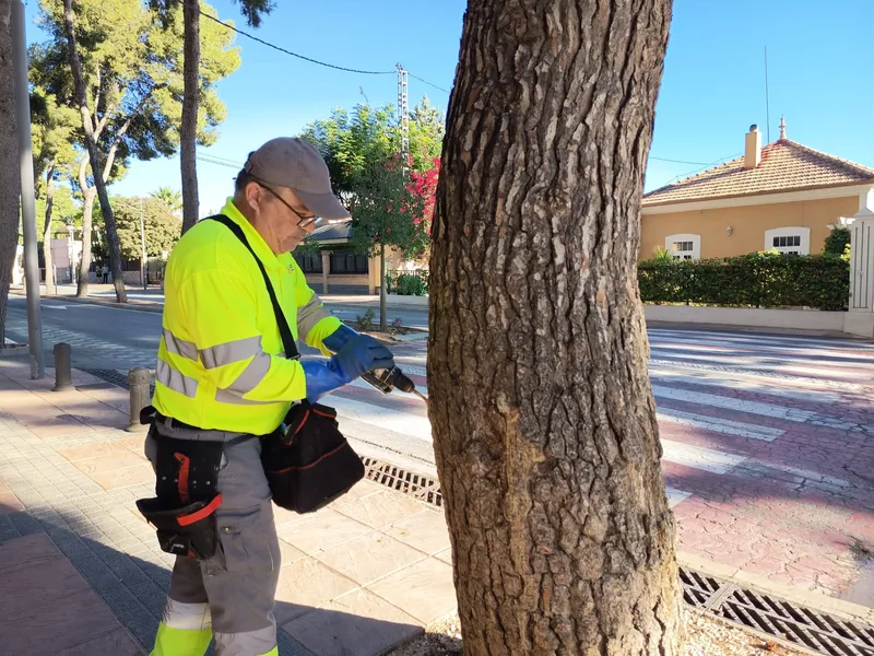 Novelda inicia tratamientos contra la procesionaria del pino en zonas públicas