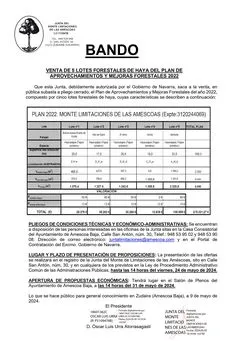 Subasta de lotes forestales de haya en Améscoa Baja