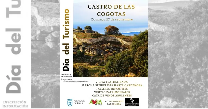 Cardeñosa celebra el Día del Turismo con un programa centrado en la arqueología