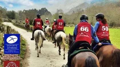 Llanes acoge la competición internacional de resistencia hípica Llanes Endure Cup