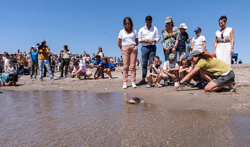 Andalucía celebra la suelta de 27 tortugas bobas en Mojácar tras un exitoso programa de recuperación