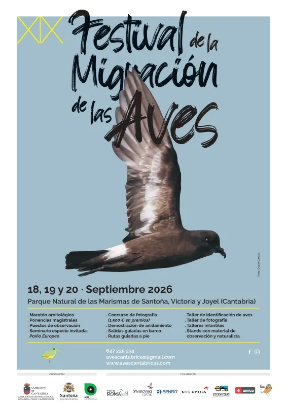 Santoña celebra la XIX edición del Festival de la Migración de las Aves y las Fiestas de la Soledad